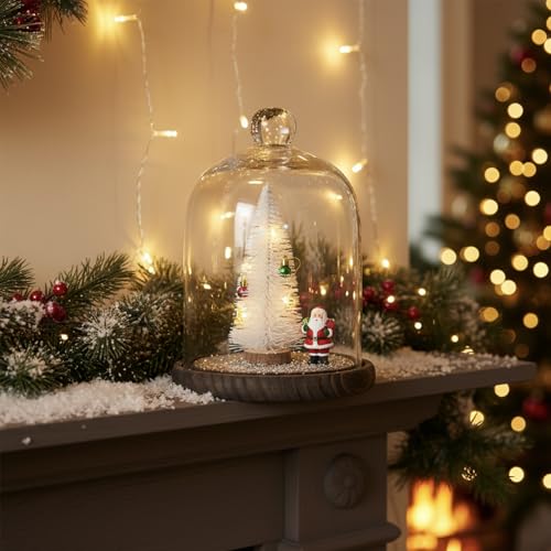 MyGift 9 Inch Clear Glass Cloche Dome Bell Jar With Wood Base