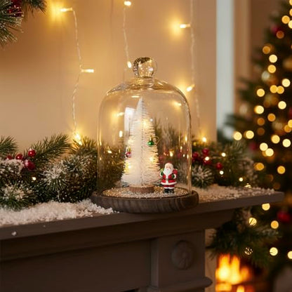 MyGift 9 Inch Clear Glass Cloche Dome Bell Jar With Wood Base