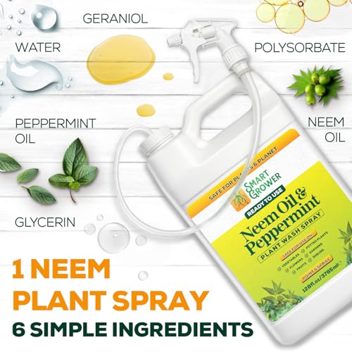 Neem Oil Spray for Plants with Peppermint Oil. Indoor & Outdoor Plant Use - size: 128 Fl Oz