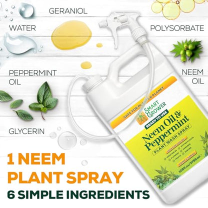 Neem Oil Spray for Plants with Peppermint Oil. Indoor & Outdoor Plant Use - size: 128 Fl Oz