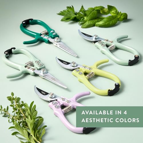 Modern Sprout Pruning Shears - Garden Snips - Herb Scissors - Multi 4-Pack - color: Multicolor - 4pcs