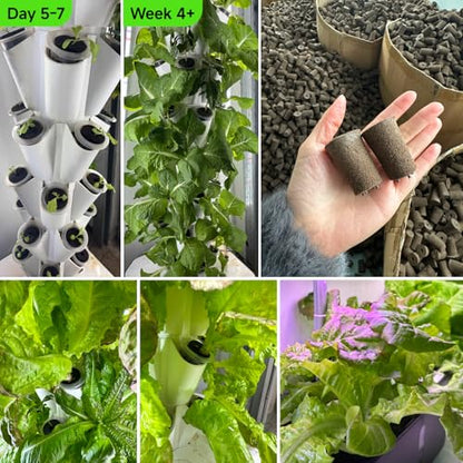 Large Hydroponic Sponges 20 Pack, 2.17" Tall for Deep Grow Baskets, Universal Fit Replacement Pods for Multi-Tier Towers & 2" Net Cup Systems – Seed Starting & Plant Cloning