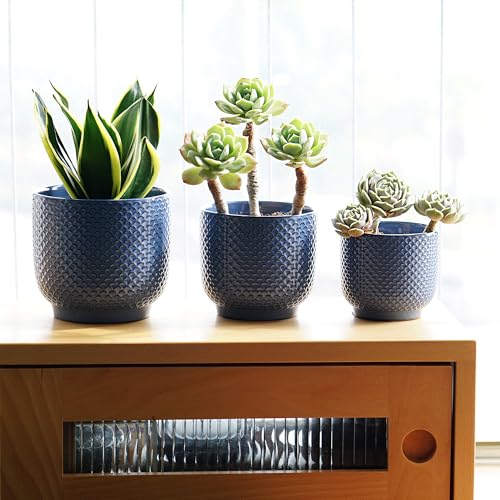 4 + 5 + 6 Inch Ceramic Pots for Indoor Plants, Succulents Plant Pots, Orchid Flower Pot with Drainage Hole, Modern Clay Stoneware Planters, Set of 3 (Dusty Blue, 4+5+6 Inch) - color: Dusty Blue