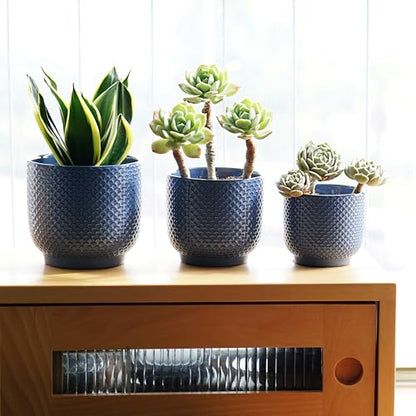4 + 5 + 6 Inch Ceramic Pots for Indoor Plants, Succulents Plant Pots, Orchid Flower Pot with Drainage Hole, Modern Clay Stoneware Planters, Set of 3 (Dusty Blue, 4+5+6 Inch) - color: Dusty Blue