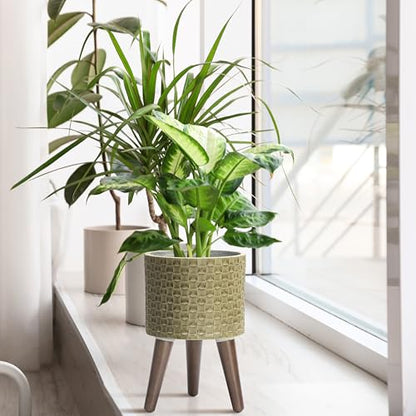 D'vine Dev Planter Pot with Wood Stand, 8 in, Distressed Olive, 88-Z-A-4 - color: Distressed Olive, size: Small