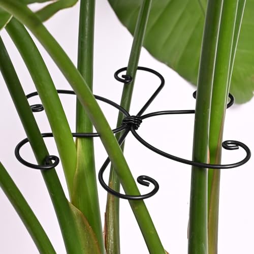 Yohsnor Black Metal Monstera Plant Support Hook - 6.5 * 6.5IN -5 Piece Set - color: Black, size: 6.5IN*6.5IN