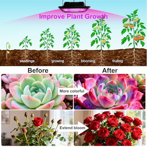 Loscarol Solar Grow Light, Full Spectrum Plant Light with Timer & Remote