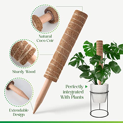 Pisol Moss Pole for Plants Monstera, Extendable Plant Sticks Support, 2Pcs