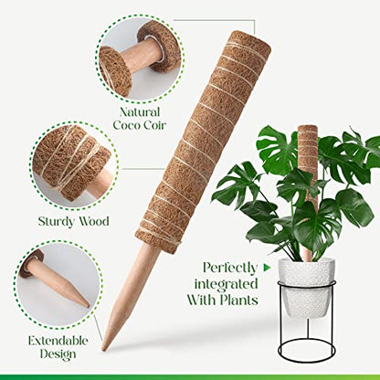 Pisol Moss Pole for Plants Monstera, Extendable Plant Sticks Support, 2Pcs