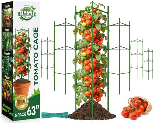 Halatool 6 Pack Tomato Cages for Garden, Up to 48in (4FT) Trellis - color: 6 Pack, size: 48 Inches