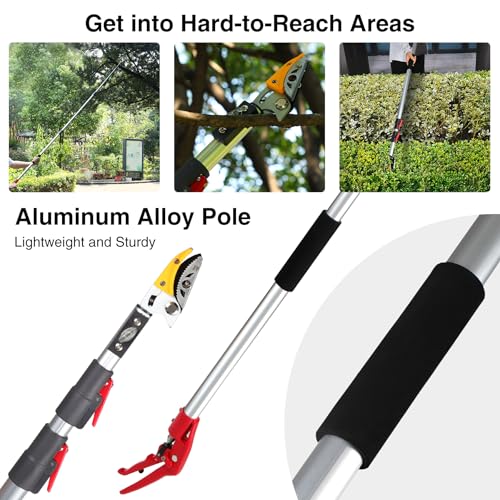 10FT Telescoping Pole Saw with Pruner, Extendable Tree Trimmer