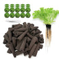 60 Pack Hydroponic Grow Sponges Seed Pods Replacement, Compatible with AeroGarden iDOO and Most Hydroponic Systems. Rapid Rooting Nursery Sponges.