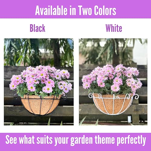 ShopLaLa Hanging Wall Planters (10 in, 4 Pack) Black Coco Liner Flower Pots - size: 10" (25cm) x 4 Pack