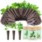Hydroponic Grow Sponges with Seeds,Compatible with Aerogarden