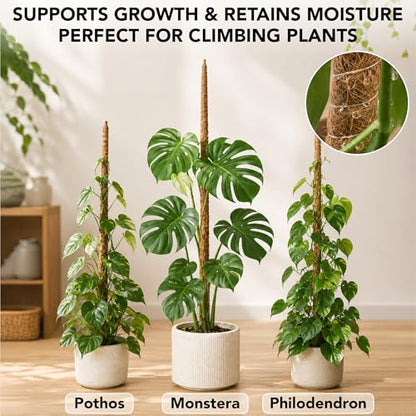 UNCO- Bendable Moss Pole Monstera Plant Support, 48 Inch, 2 Pack, 10 Feet Plant Ties, Moss Poles for Climbing Plants and Monstera Trellis
