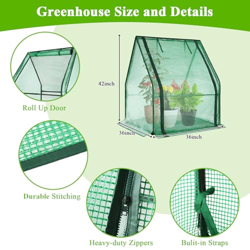 U'Artlines Portable Mini Greenhouse Small Green House 36x36x42 Inch - size: 36x36x42 Inch
