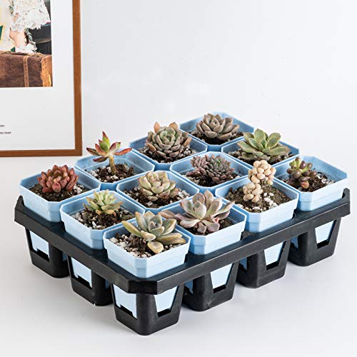 30Pcs 3" Plants Nursery Pot with 30 Saucers Blue, Square Planting Pots - color: Blue