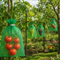 15 Pack Tomato Protection Bags Fruit Netting Bags with Drawstring