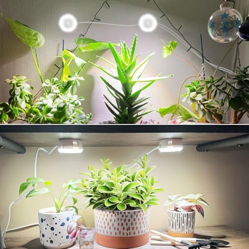 Puck Grow Lights for Indoor Plants, Dual 5W+5W Heads with Timer - size: 2-Head with timer