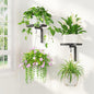 LASZOLA Plant Hanger Holder Window Shelf Wall Mounted Indoor, 2 Pcs Black - color: Black, size: 2