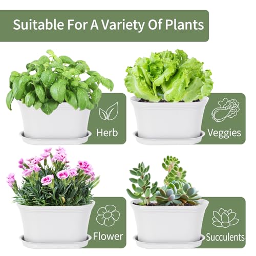 Oliz 6pk Windowsill Planters, White Plastic w/Drain Tray - Indoor/Outdoor - color: White