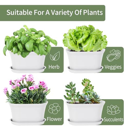 Oliz 6pk Windowsill Planters, White Plastic w/Drain Tray - Indoor/Outdoor - color: White