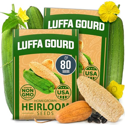 HOME GROWN Luffa Loofah Gourd Seeds, 80+ Seeds, Luffa aegyptiaca