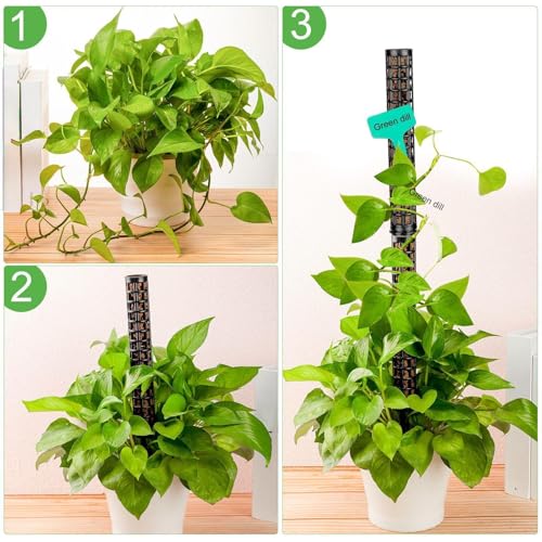 10 Set Plastic Moss Poles for Climbing Plants Indoor Stackable Self Watering Hollow Monstera Plant Support, Moss Not Included(Black) - color: Black