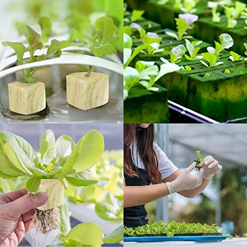 Legigo 2 Inch Rockwool Cubes Seed Starter Plugs for Hydroponics, 96 Plugs - color: 2 Sheet, size: 2" Plugs