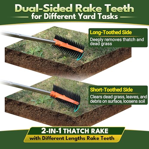 62.5 Inch Thatch Rake for Lawns 18 Sharp Tempered Spring Steel Tines - style: Thatch Rake