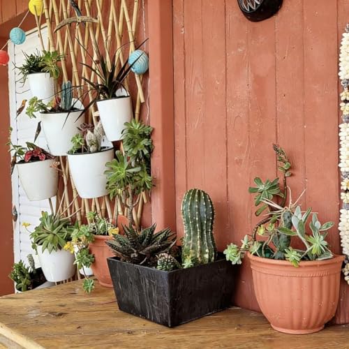 ORIMERC 6 Pack Hanging Planter Wall Planter Self Watering 5 inch Plant Pot with Hardware Vertical Planter Outdoor Indoor Plants Herb Garden Home Décor Kitchen Balcony Railing Shelf Fence (Medium) - size: 6*Medium