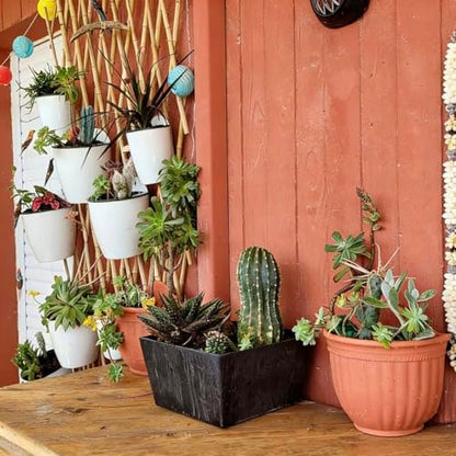 ORIMERC 6 Pack Hanging Planter Wall Planter Self Watering 5 inch Plant Pot with Hardware Vertical Planter Outdoor Indoor Plants Herb Garden Home Décor Kitchen Balcony Railing Shelf Fence (Medium) - size: 6*Medium