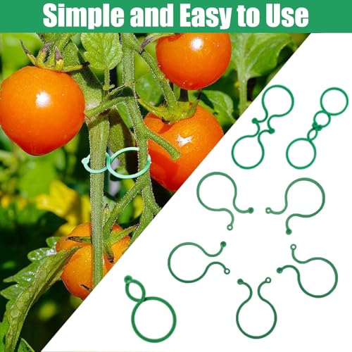 Hysagtek 100 Pcs Plant Clips for Climbing Plants Garden Clips Plant Support Clips for Tomato Gardening Clips Vegetable Clips for Support for Securing Plants - size: 100 Pcs