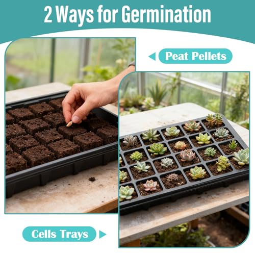 10-Pack Seed Starting Trays with Humidity Dome & Large 24-Cell 2" Plug Tray - color: Black, size: 10 Sets