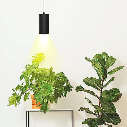 STERREN Hanging Grow Lights,Plug in Pendant Light for Indoor Plants - color: Black