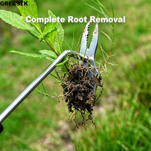 GREBSTK Deep Root Weed Puller, Stainless Steel Heavy Duty 5+2 Tooth