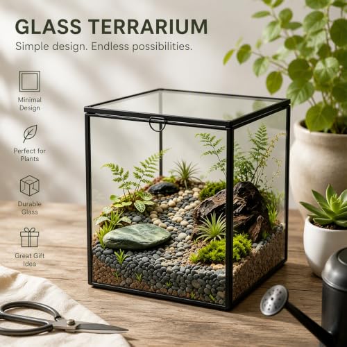 Ferrisland Glass Geometric Plant Terrarium, Clear Glass Succulent - size: 6.89" L x 6.89" W x 6.89" H