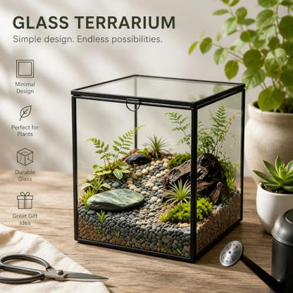 Ferrisland Glass Geometric Plant Terrarium, Clear Glass Succulent - size: 6.89" L x 6.89" W x 6.89" H
