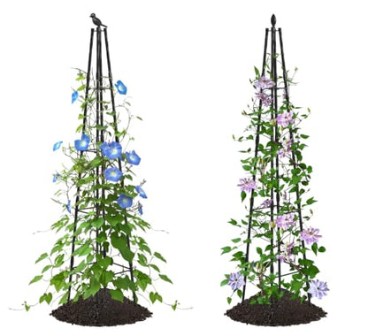 AlisisFores Garden Trellis, 63 inch Tall, 2 PCS