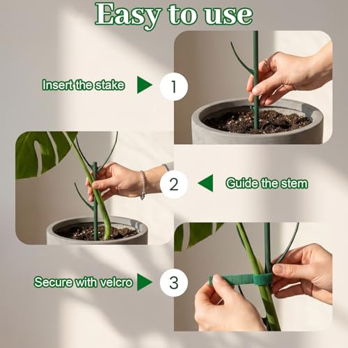 5 Pack Monstera Plant Support Upgrade Stackable Plant Stakes
