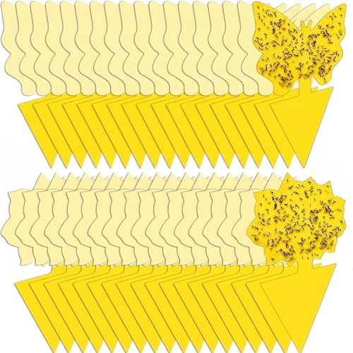 Yellow Sticky Fruit Fly Trap 36 Pack, Dual-Sided Gnat Traps for Plants - size: 36 Packs