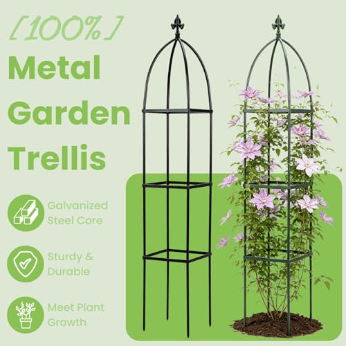 Lancisism 100% Metal Trellis for Climbing Plants Outdoor - Garden Metal Obelisk Trellis Vertical Plant Support for Climbing Vines & Flowers - Sturdy Steel Arch Trellis for Potted Plants Indoor Green