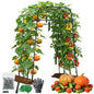 Garden Arch Trellis for Climbing Plants (83" H x 57" L), Metal Cucumber & Tomato Cage, Rustproof Walk-Through Tunnel Support for Pumpkin, Squash, Melon & Rose - style: 83" High x 57" Long (4-Arch)