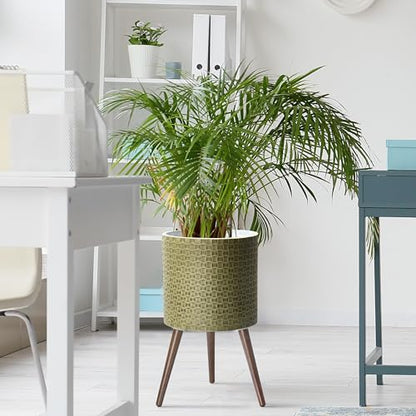 D'vine Dev Planter Pot with Wood Stand, 14 in, Distressed Olive, 88-Z-D-4 - color: Distressed Olive, size: X-Large