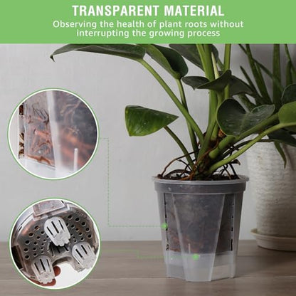 GREENPARA 5 Inch Clear Self Watering Planter, Plant Pot with Reservoir