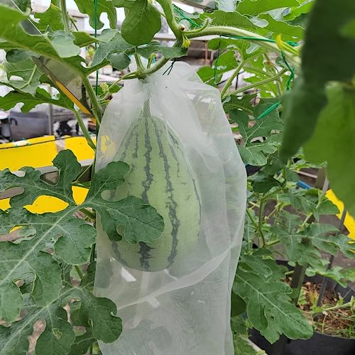 Belit 7 Pcs Watermelon Protection Bags Large Size Nylon Mesh Reusable Fruit Bags for Protecting Fruits Vegetables(23.6"x15.7") - size: 7psc 23.6"x15.7"