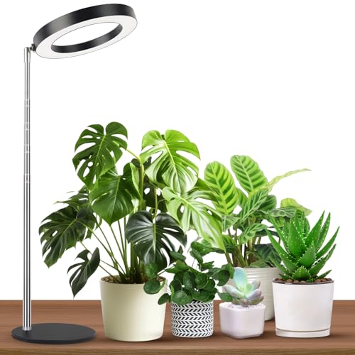 Desktop Grow Light for Indoor Plants - Full Spectrum Plant Lights for Indoor Growing with Timer, 9.1 in ~ 39 in Adjustable Pole & Heavy Metal Base, Small Plant Lamp for Desk - color: Black