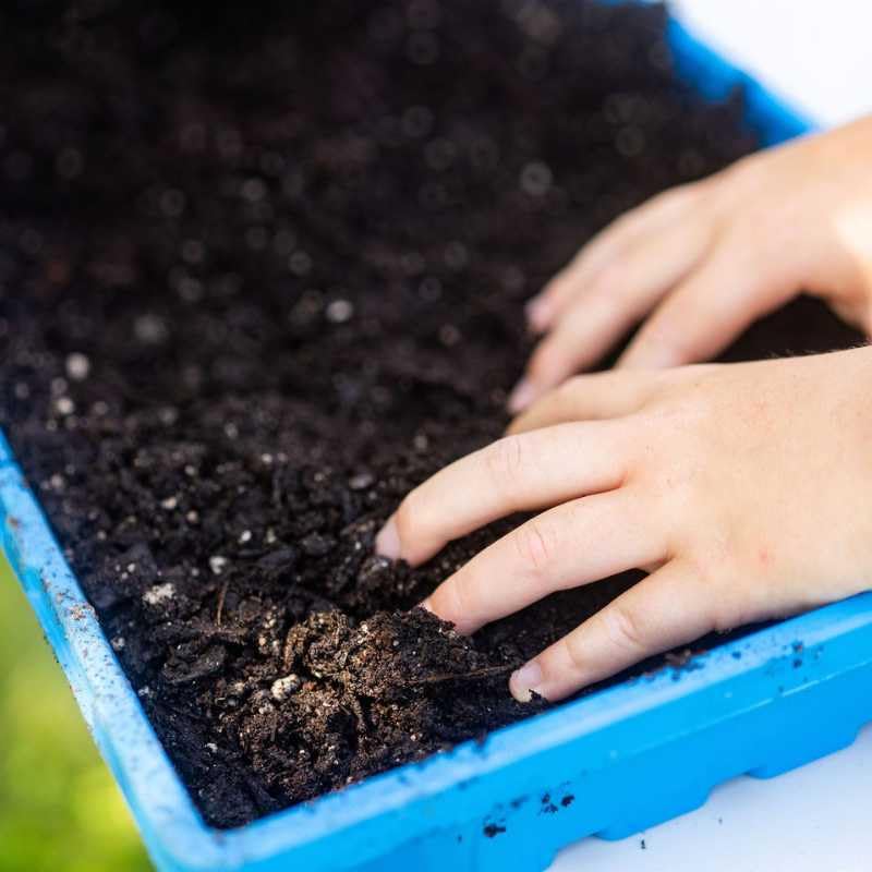 Bootstrap Farmer 1020 Trays Heavy Duty, 10 Pack, Blue, No Holes | 2.5" Deep Seed Starting Flats for Microgreens, Wheatgrass, Fodder Systems - color: Blue