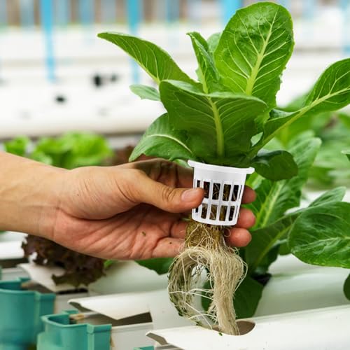 Angoily 1.5" Net Pots, 50Pcs Plastic Hydroponic Pod Net Cultivation Basket