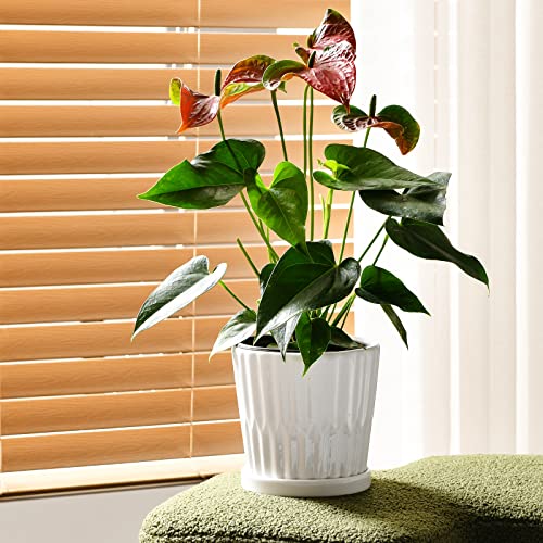 White 6 Inch Flower Pots for Plants,Ceramic Planter with Drainage Holes - color: White
